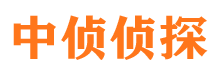 甘洛侦探公司